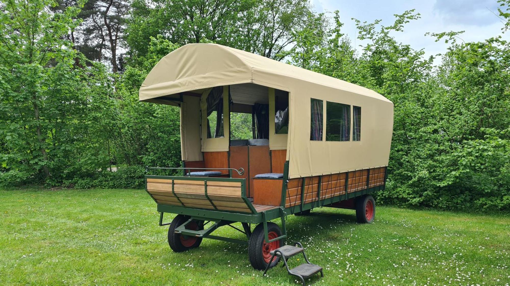 Camping De Bosrand Spier Εξωτερικό φωτογραφία
